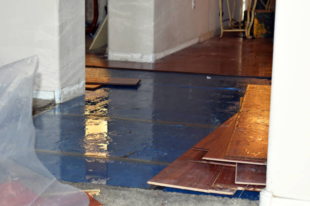 Professional Water Damage Restoration technician working in Buffalo, TX